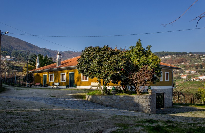 Country House_for_sale_in_Santa Cruz do Douro_SMA7183
